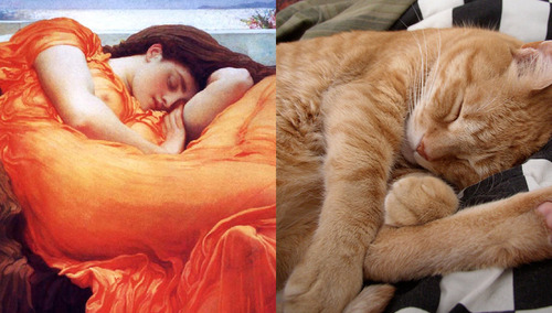 猫で「名画」を忠実に再現した作品