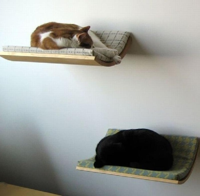 猫のために設計されたインテリアや小物が可愛い写真