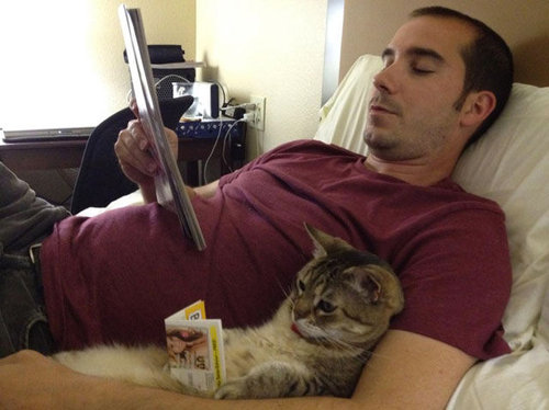 「猫がいて幸せを感じる瞬間」の写真