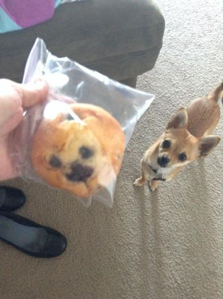 偶然の瞬間を撮影した写真