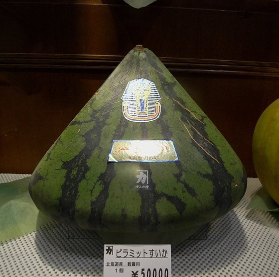 日本のスイカがヤバ過ぎると話題になってる写真