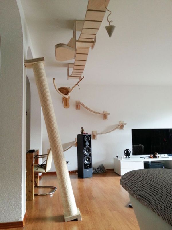 猫の遊び場の写真