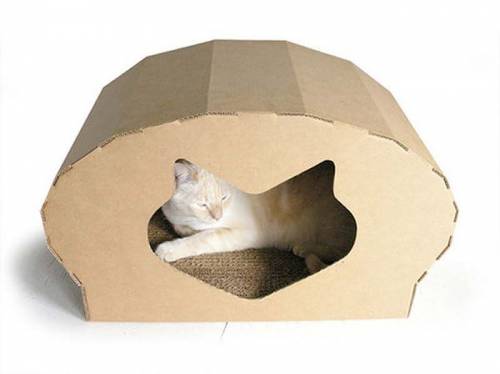 可愛い家の中にある猫の家