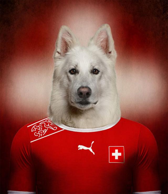 その国の犬に置き換えたポートレート写真