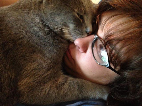 「猫がいて幸せを感じる瞬間」の写真