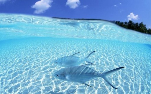 世界の美しすぎる風景の写真