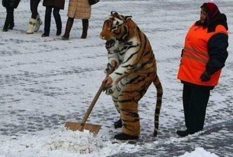 ロシアでしかお目にかかれない光景の写真