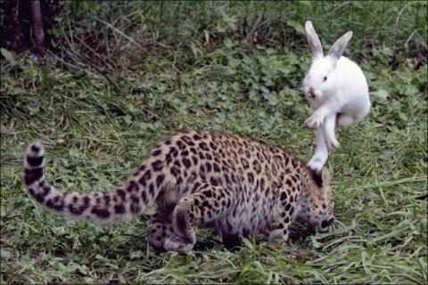シュールすぎる面白い写真