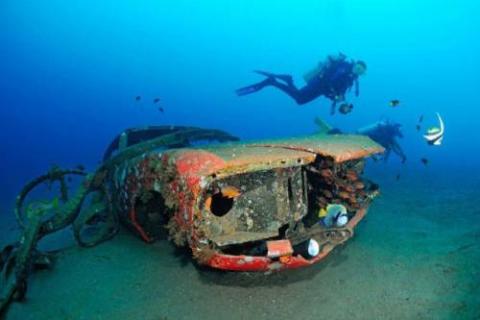 車が海に沈んでしばらくして魚の住まいになった写真