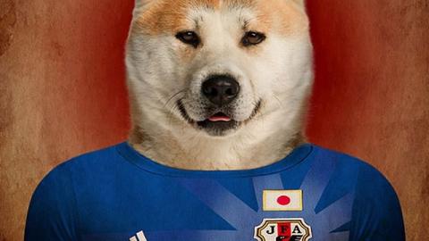 その国の犬に置き換えたポートレート写真