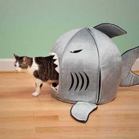 可愛い家の中にある猫の家