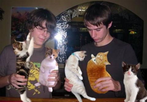 お酒を猫ちゃんに置き換えてごまかした写真