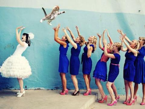 結婚式で花嫁が投げるブーケを「猫」に置き換えた写真
