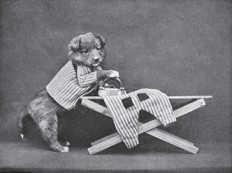 犬猫を擬人化したレトロな写真