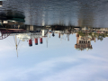 こーたん's picture