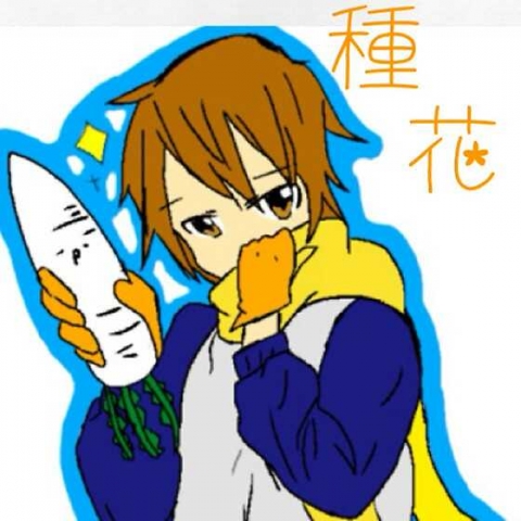 syuka_kana's picture