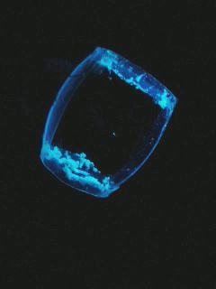 Losmarinus's picture