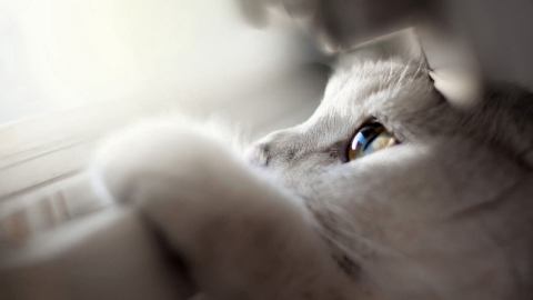 のの's picture