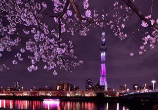 Rainbow Village Ueno