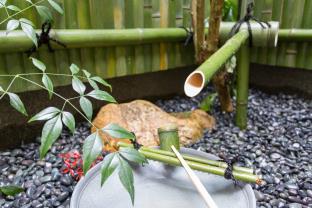 guest house kyorakuya kinkakuji