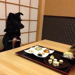 Inu Goten