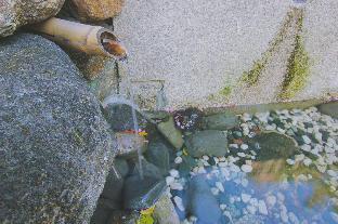 i Osaka Traditional 205