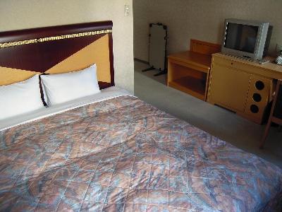 Hotel Sunpalace (Hiroshima Pref.)
