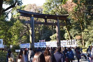 Shibuya Dormitory Shared Mixed Room.