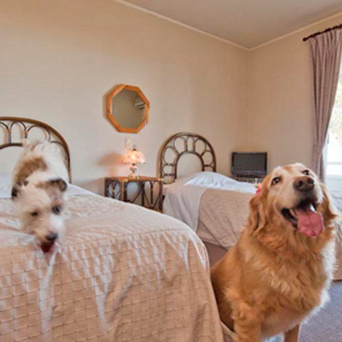 Petit Hotel Sun Road