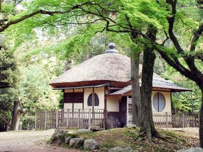 Edosan