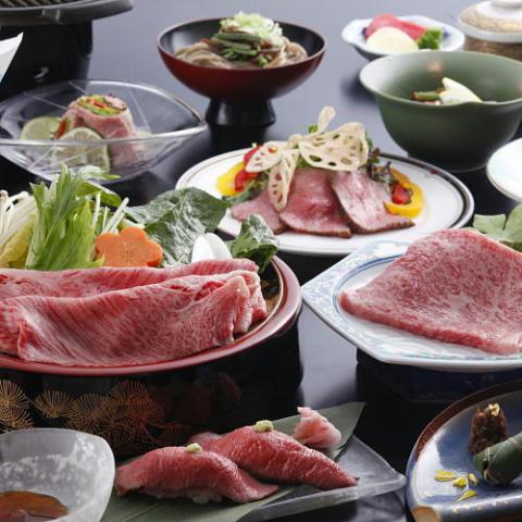 Hida Furukawa Speranza Hotel