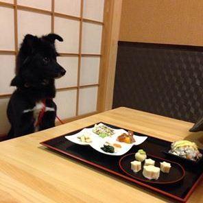 Inu Goten