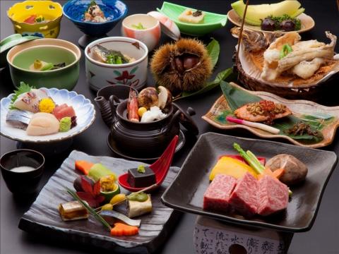 Hida Furukawa Togenkyo Onsen Kikori